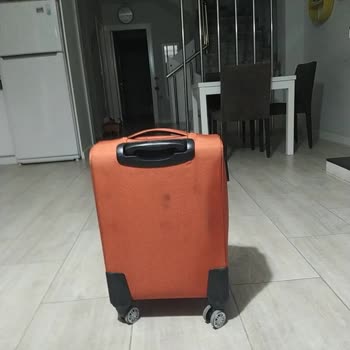 Pegasus Kabin Bagajı Sorunu