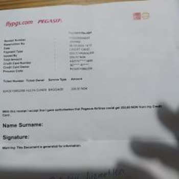 Pegasus Kabin Bagajı Sorunu