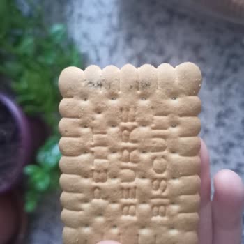 Küflenmiş A101 Marka Pötibör Bisküvi