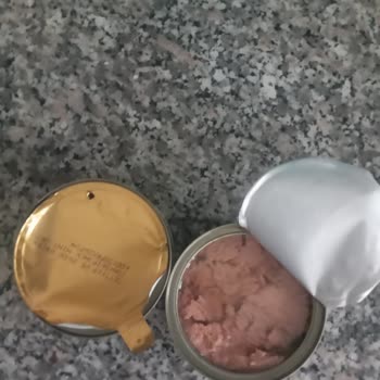 Dardanel Ton Balık Kusurlu Ürün