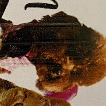 Etiketcimmm (Instagram) Baskı Hatası Ve İş Ahlakı