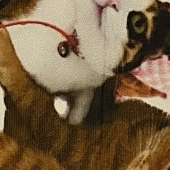 Etiketcimmm (Instagram) Baskı Hatası Ve İş Ahlakı