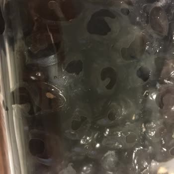 Getir Destek İademi Yanlış Yaptı Ve Düzeltecek Bir Ekipleri Oluşmamış