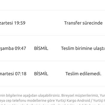 Yurtiçi Kargo Dağıtım Günü Problemi