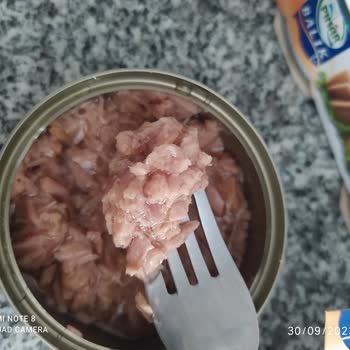 Pınar Et ve Süt Iri Parçalı Ton Balığı Ürünü Değerlendirmesi