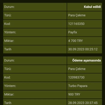 Papara GrandPashaBet 3 Gündür Paramı Vermiyor