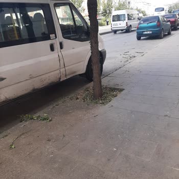 Yakutiye Belediyesi Çevre Temizliği Yapılmadı