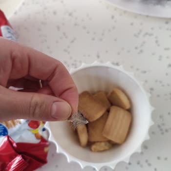 Ülker Bebe Bisküvisinden Güvercin Tüyü Çıktı