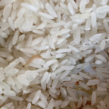 A101 Kurtlanmış Bozuk Ürün