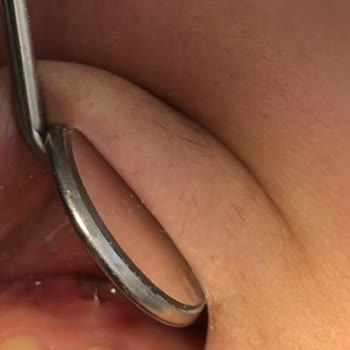 Özel Dental Ank Diş Hekimi İşletmesinde Yaşanan Sorunlar