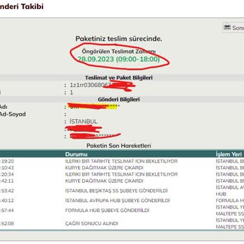 UPS Türkiye Keyifsiz Kuryenin Teslimatsız Kargosu