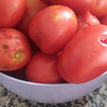 A101 Çürük Ve Böcekli Ürünler