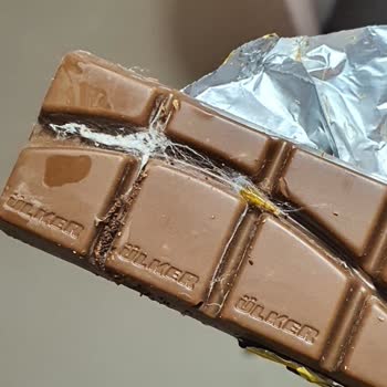 Ülker Fındıklı Ve Kurtlu Çikolata