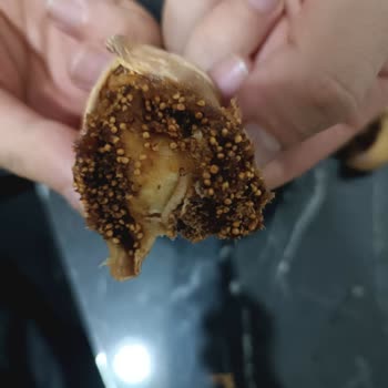 Köylü İşi (Koyluisiurunler) Bozulmuş Ve Kurtlu Ürünlerle Dolu Sipariş