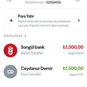 Papara Bilgim Dışı Para Transferi Yapıyor