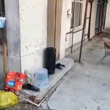 Bakırköy Belediyesi Evimizin Yolu Yok!