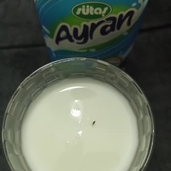 Sütaş Ayranımdan Böcek Çıktı
