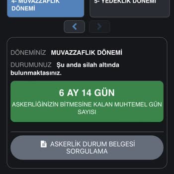 E-Devlet (Turkiye.gov.tr) Yanlış Süre Biçimi