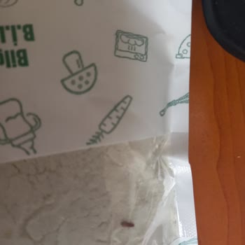 Makarna Lütfen Üründen Böcek Çıktı