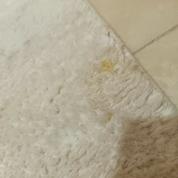 Orkide Halı Yıkama (Ankara) Halı Yıkamama