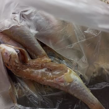 Migros'un Çürük Balık Gönderimi