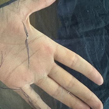 Dcey İade Ücretini Göndermedi