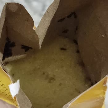 Migros Marka İrmiğin İçinde Böcekler Çıktı
