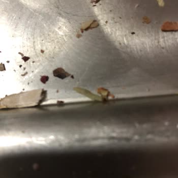 Pınar Kuruyemiş Eski Kurtlu Ürün