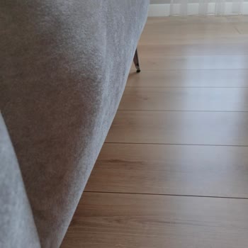 Fatsa Bellona Ürününe Sahip Çıkmıyor