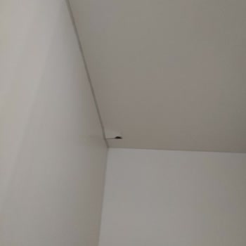 Bellona Vilza Yatak Odası, Servis Sorunu