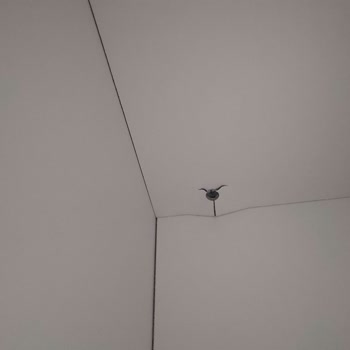 Bellona Vilza Yatak Odası, Servis Sorunu