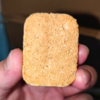 Eti Burçak Sütlü Çikolatalı Bisküvisinde Siyah Benekler