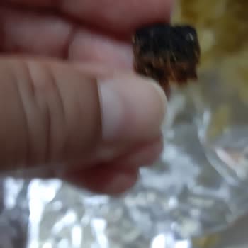 Lays Paket İçinde Mantar Gibi Küf Var