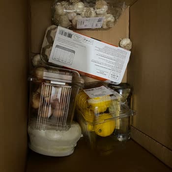 Tazedirekt Sipariş Deneyimi