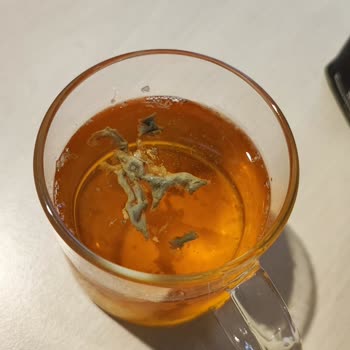 Juss Meyve Suyunun İçinden Tanımsız Şeyler Çıktı