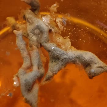 Juss Meyve Suyunun İçinden Tanımsız Şeyler Çıktı