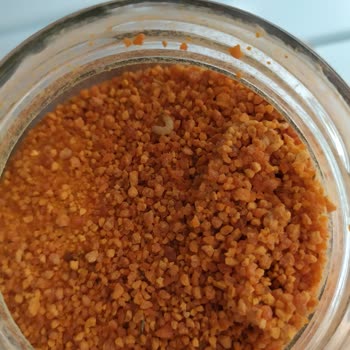 Organik Gurmem Bebek Tarhanası Kurtlu!