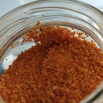 Organik Gurmem Bebek Tarhanası Kurtlu!