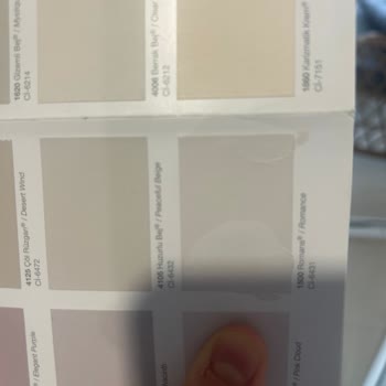 Polisan Romans Boya Renginin Karteliyle Farkı