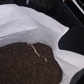 Karaali Çay Yabancı Madde Var