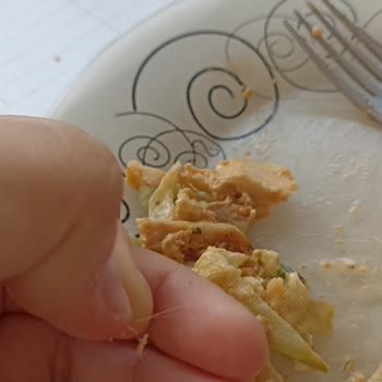 Usta Dönerci Siparişimden Kıl Çıktı