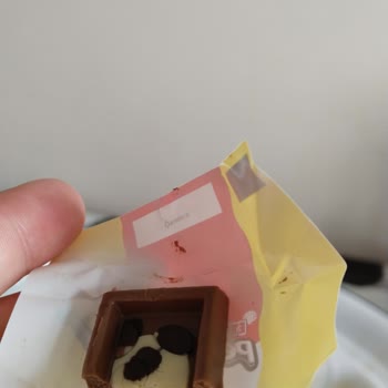 Eti Gıda Eti Petito Ayıcık Mini Ozon Kokuyor.