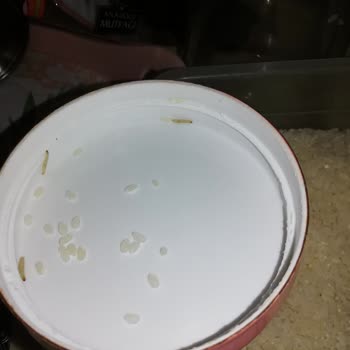 Anadolu Mutfağı Üründen Kurt Çıktı