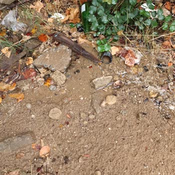 Antalya Büyükşehir Belediyesi Şebeke Su Borusu Patlağı