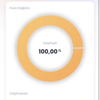 Chippin Puan Kullanılmıyor, Hata Veriyor