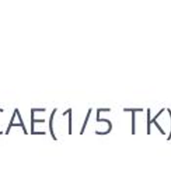 Bosch Elektrikli El Aletleri Bosch Cırcır Tornavida Bozulması