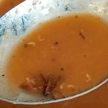 Çelikoğlu Yemek Sanayi Hijyen Problemi Yemekten Böcek Çıktı