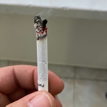 Parliament Den Odun Cıktı