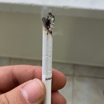 Parliament Den Odun Cıktı