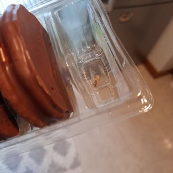 Ülker Markasıyla Yaşadığım Kelebek Sorunu